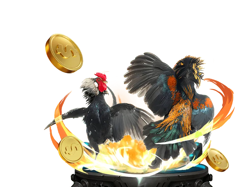 Người chơi trúng jackpot lớn tại 97win11 nhà cái
